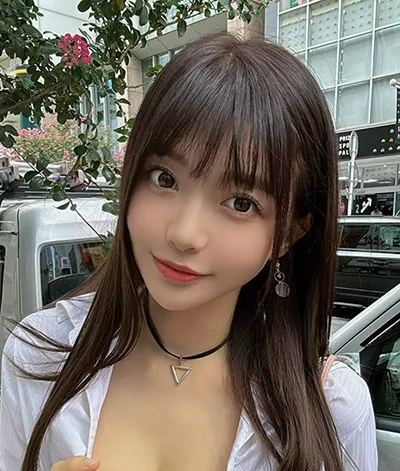 雾港迷踪 刑侦电视剧全集免费观看